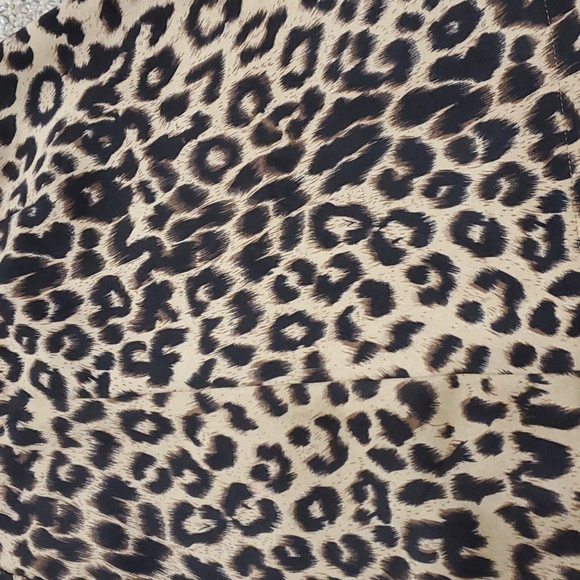 ZARA Cheetah Print Mini Skirt Size Small EUC - Picture 2 of 7